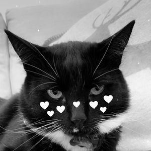 Meet your Posher, Jess